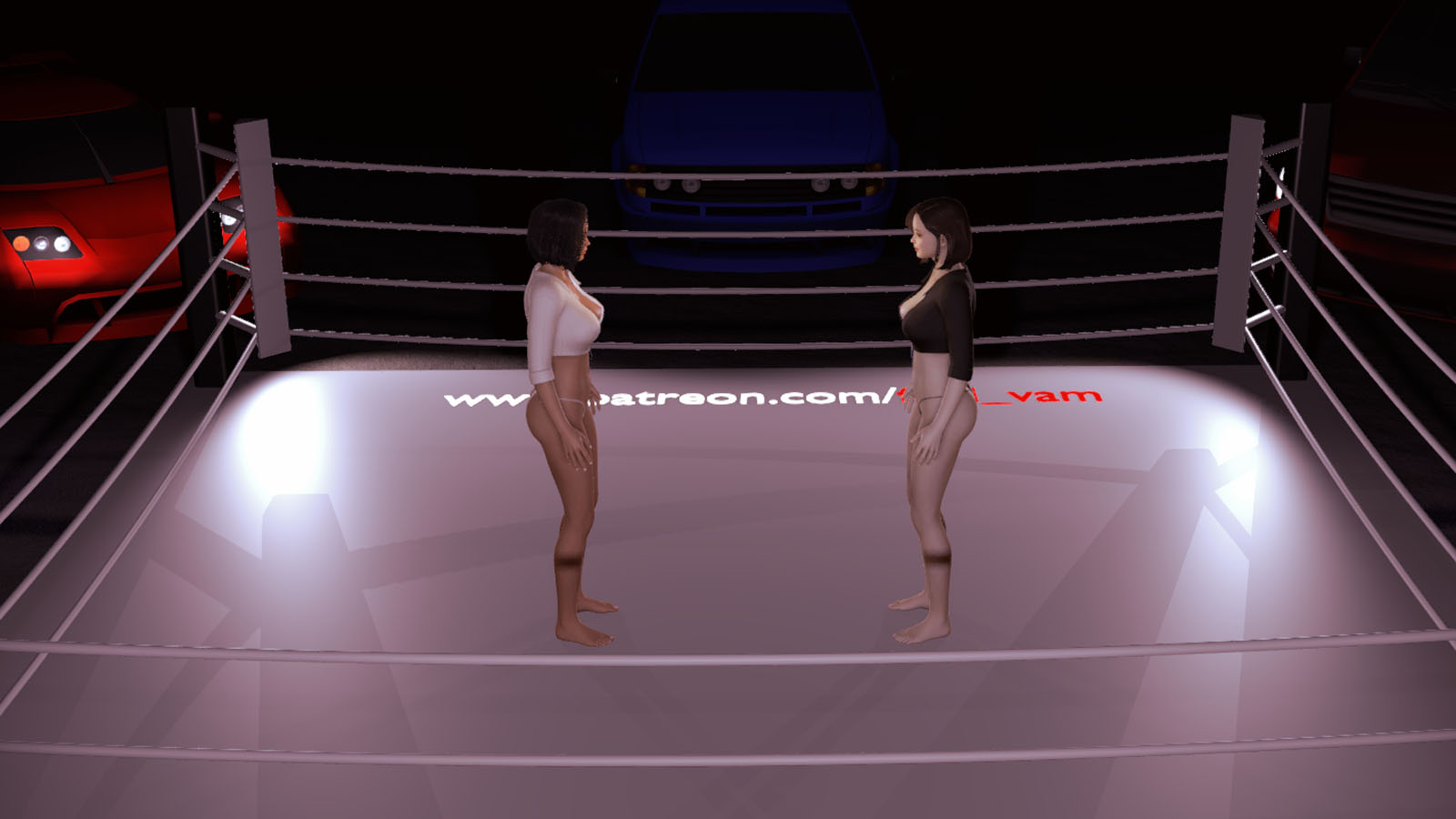 StreetSexFight_N-宅游趣